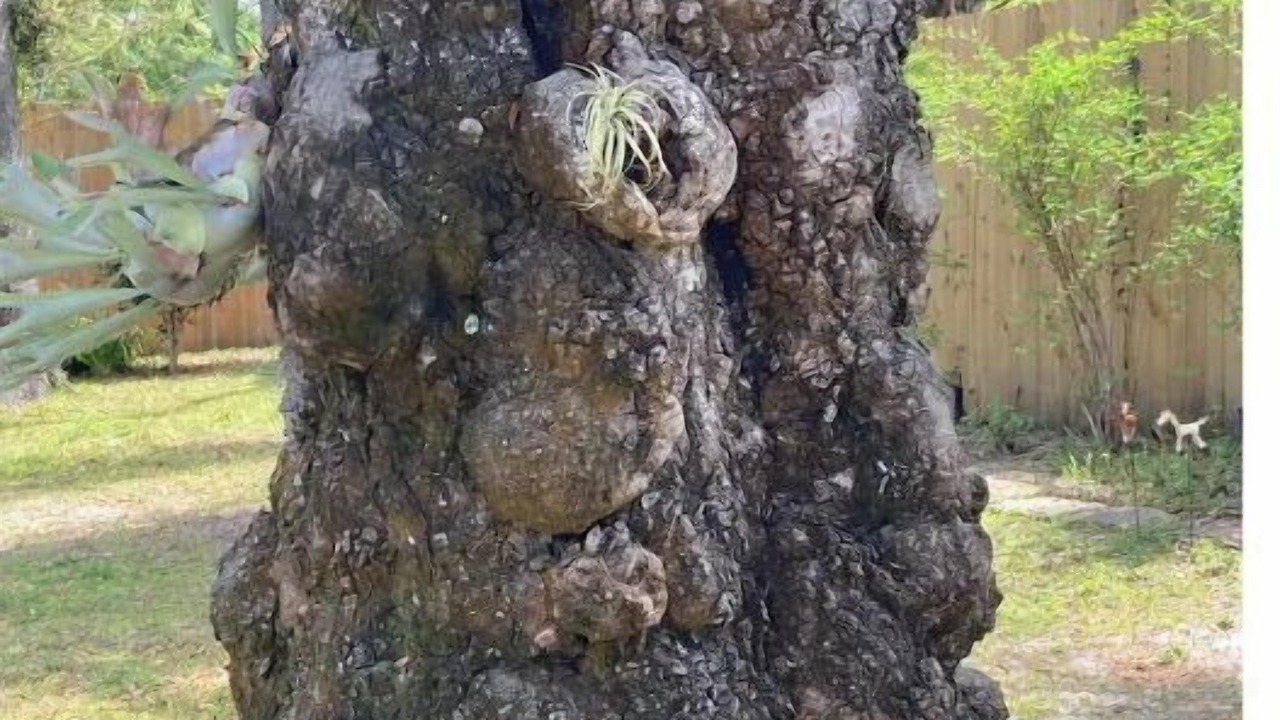 Photo of Outdoor in Panama City