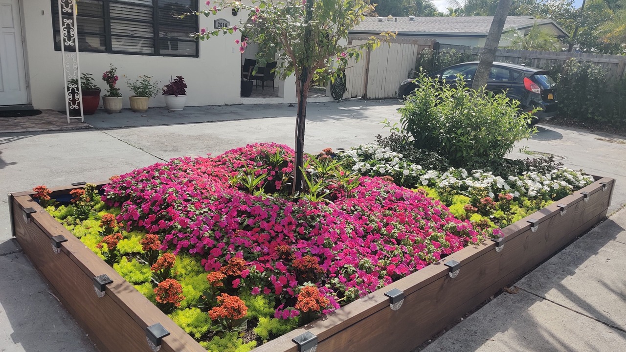 Photo of Outdoor in Wilton Manors