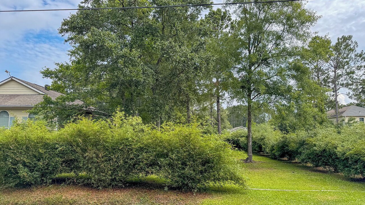 Photo of Outdoor in Bay St Louis