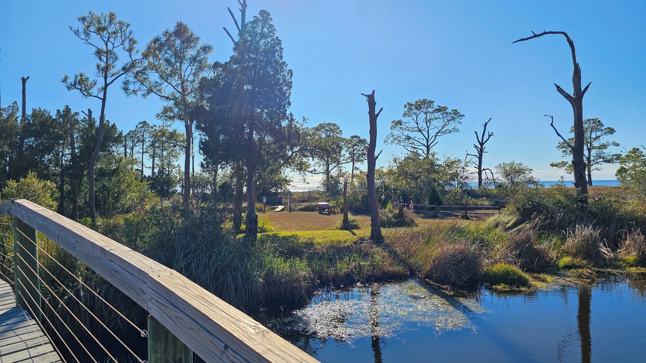 Photo of Others in Magnolia Bluffs