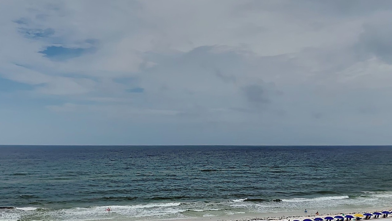 Photo of Others in Fort Walton Beach
