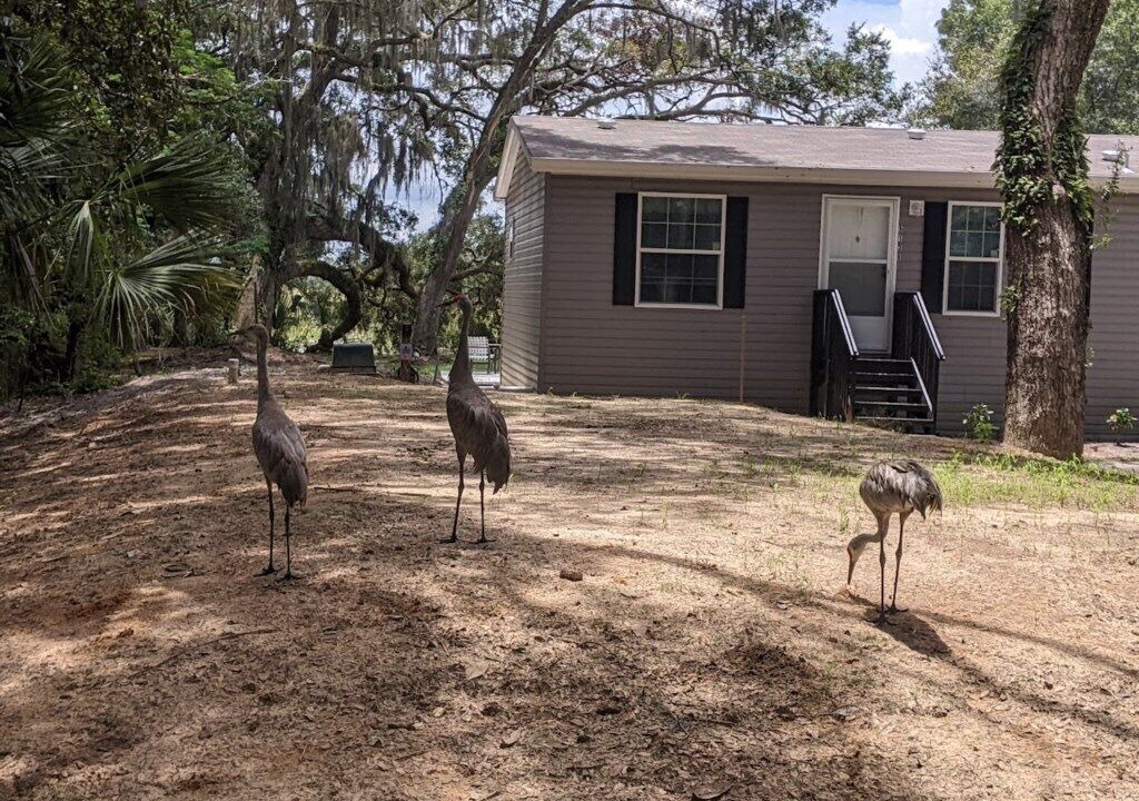 Photo of Others in Hernando