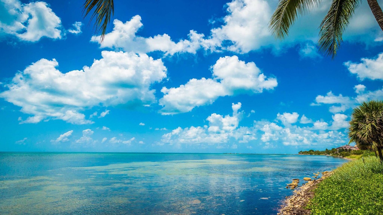 Photo of Others in Key West