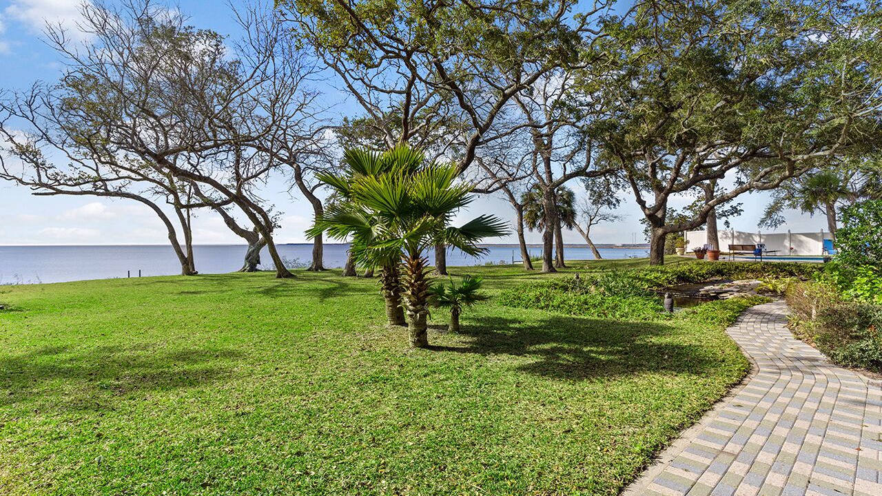 Photo of Outdoor in Magnolia Bluffs