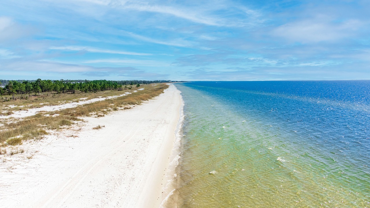 Photo of Others in Port St. Joe