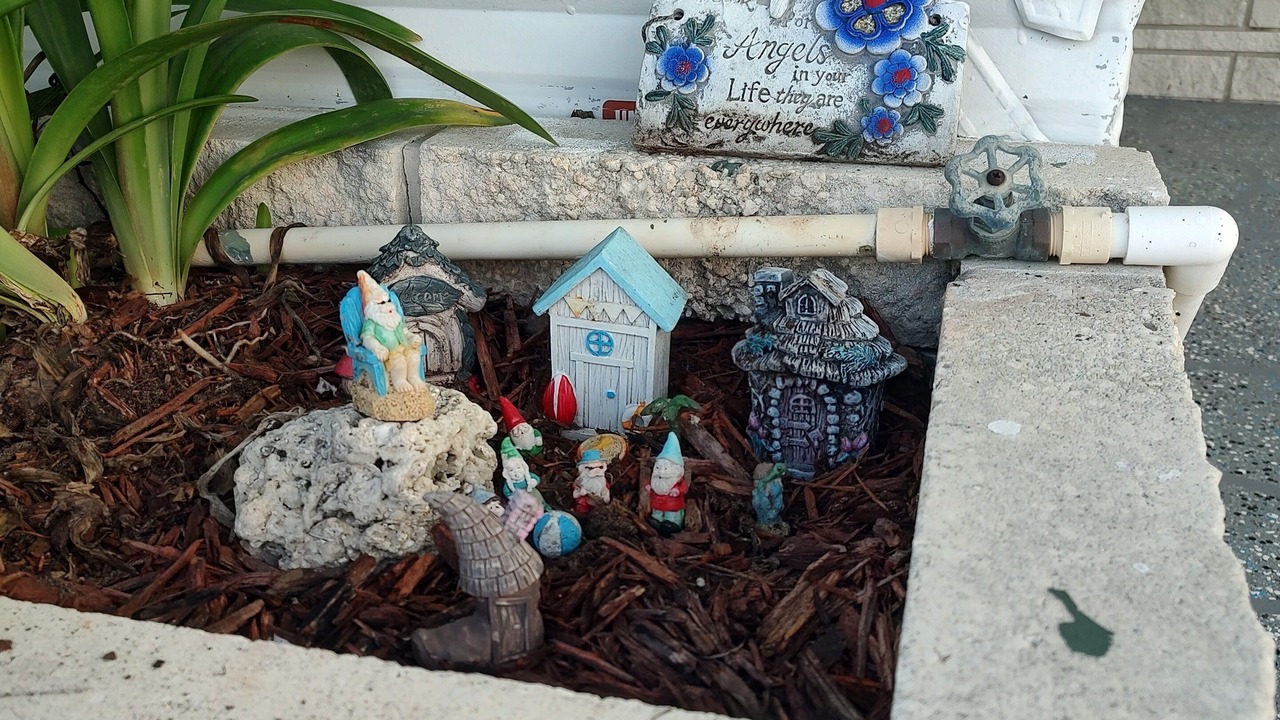 Photo of Outdoor in Zephyrhills West