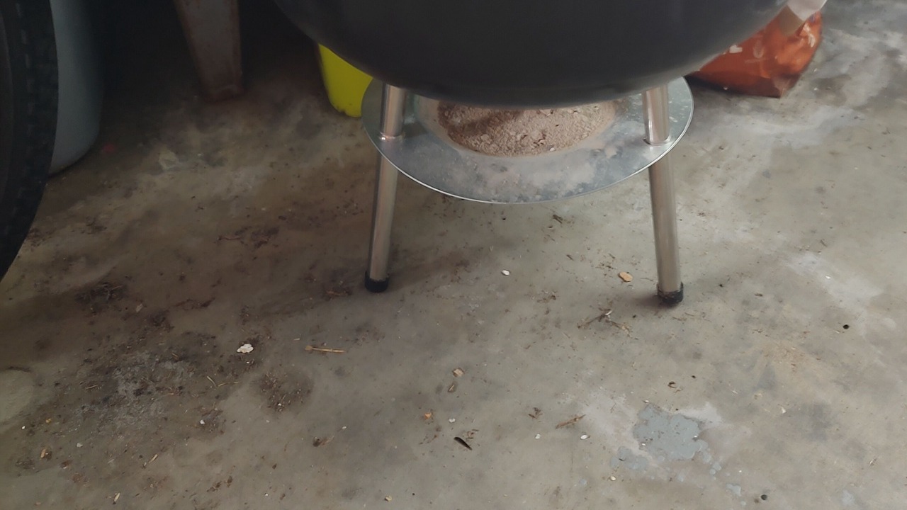 Photo of Outdoor in Zephyrhills West