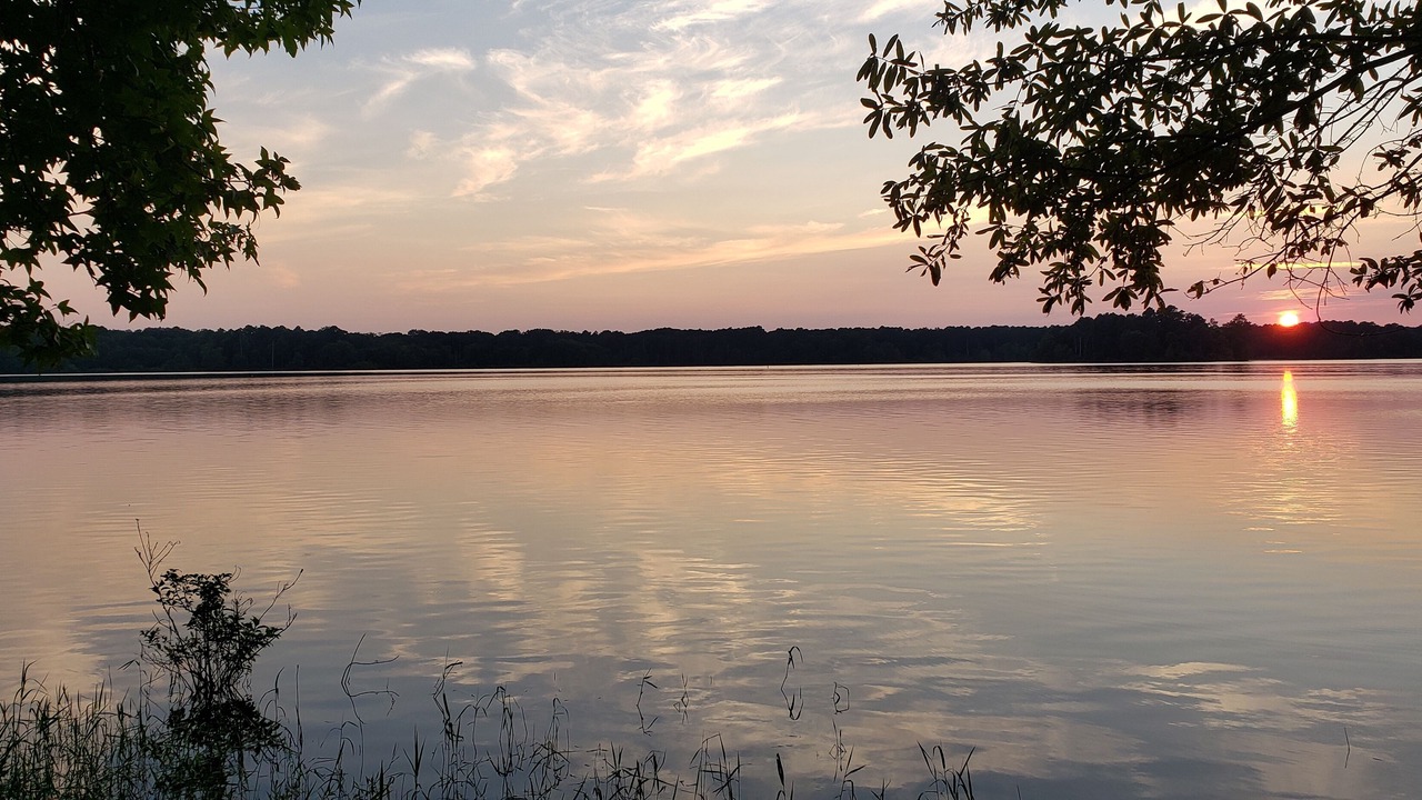 Photo of Outdoor in Avinger
