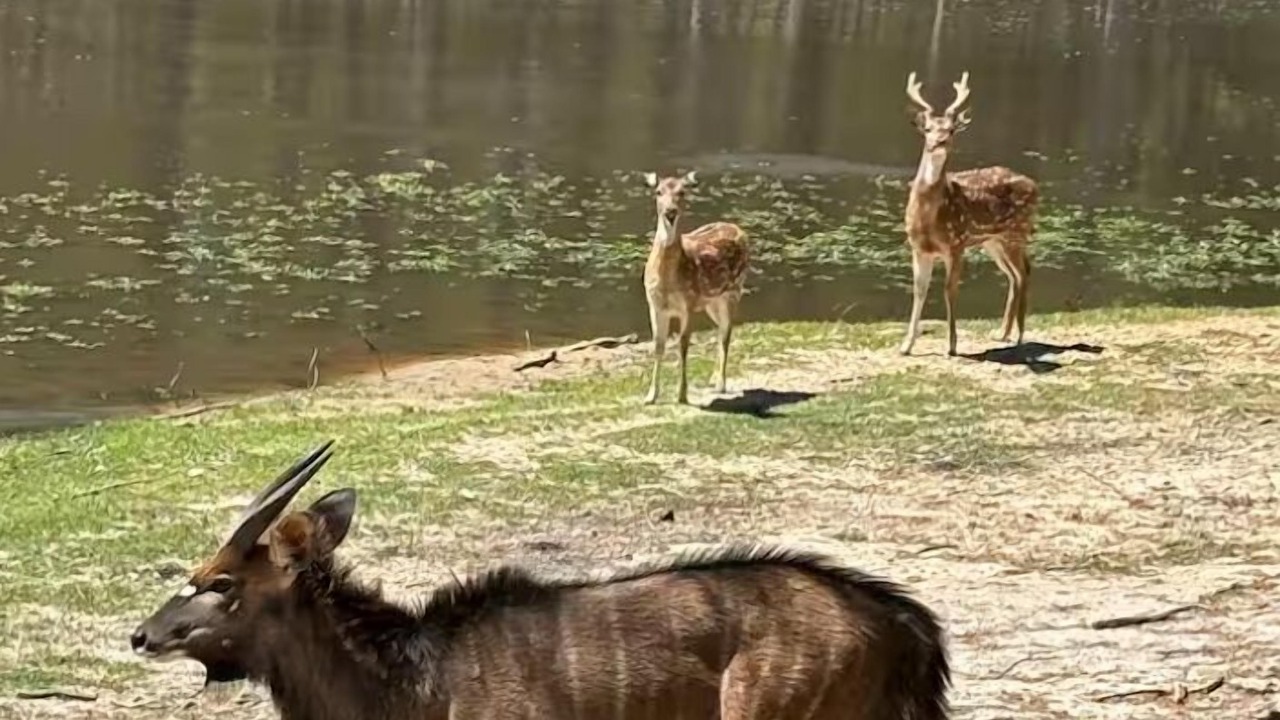 Photo of Others in Lufkin