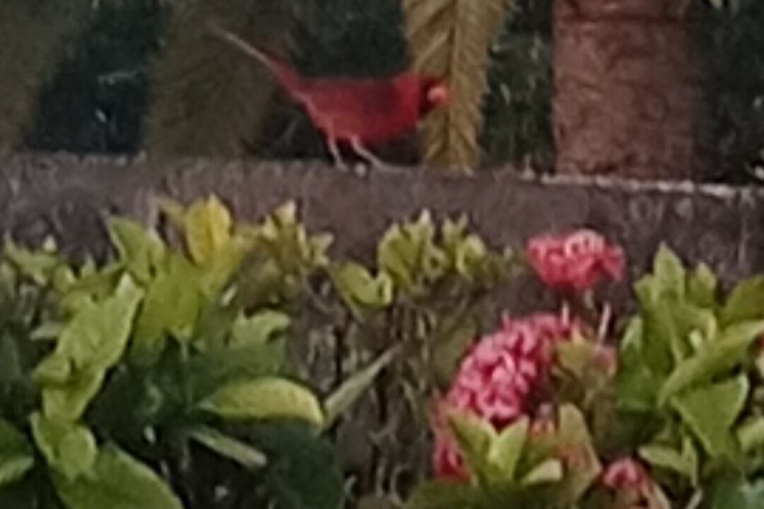 Photo of Outdoor in Ludlam