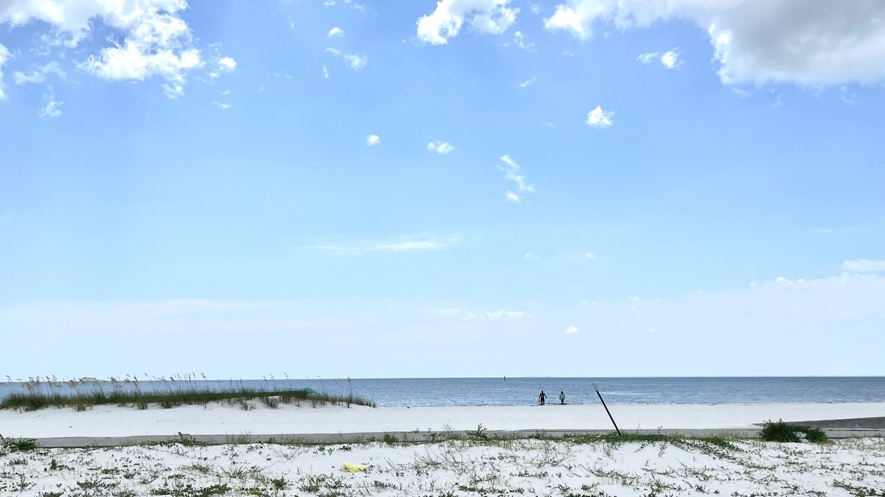 Photo of Others in Gulfport