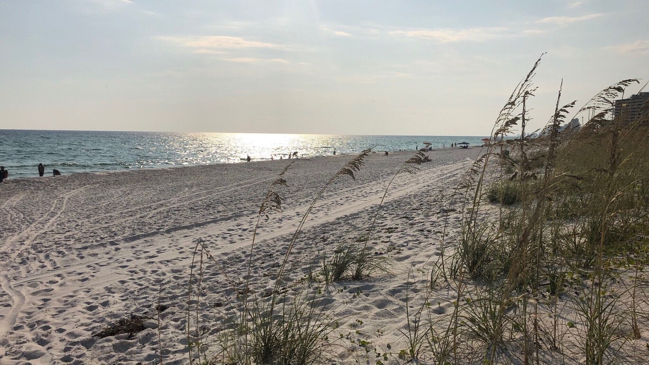Photo of Others in Crescent Beach