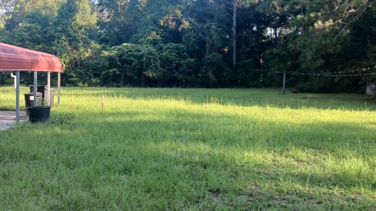 Photo of Outdoor in Pinetta