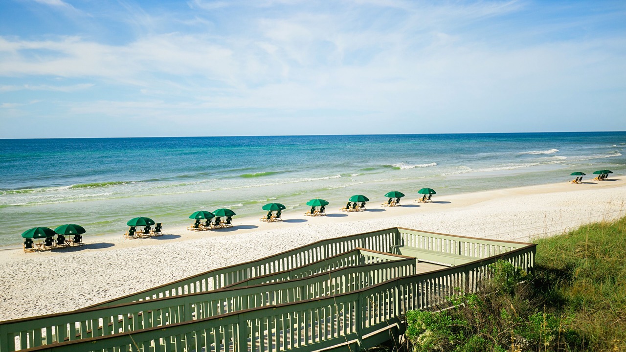 Photo of Others in West Panama City Beach
