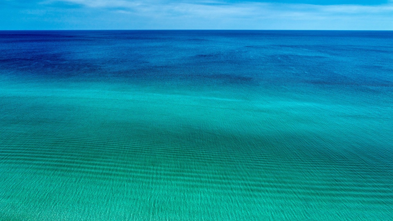 Photo of Others in Kiska Beach