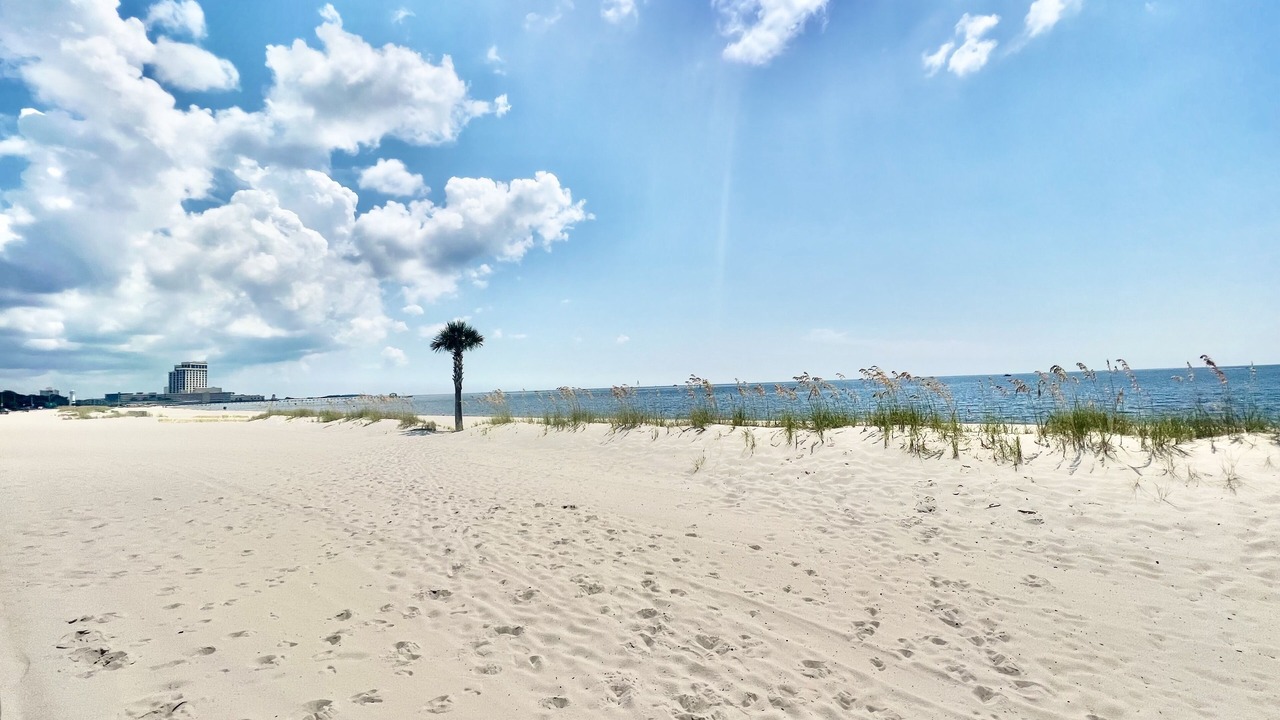 Photo of Others in East Biloxi