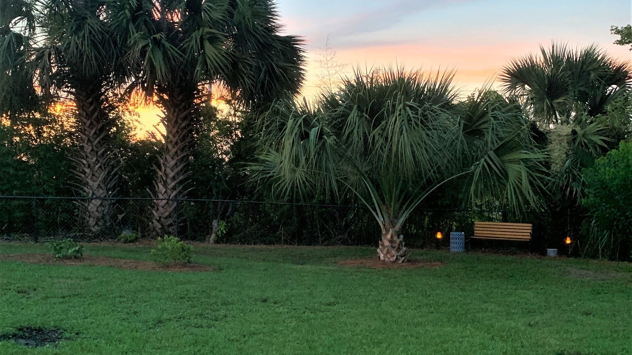 Photo of Outdoor in Thomas Drive