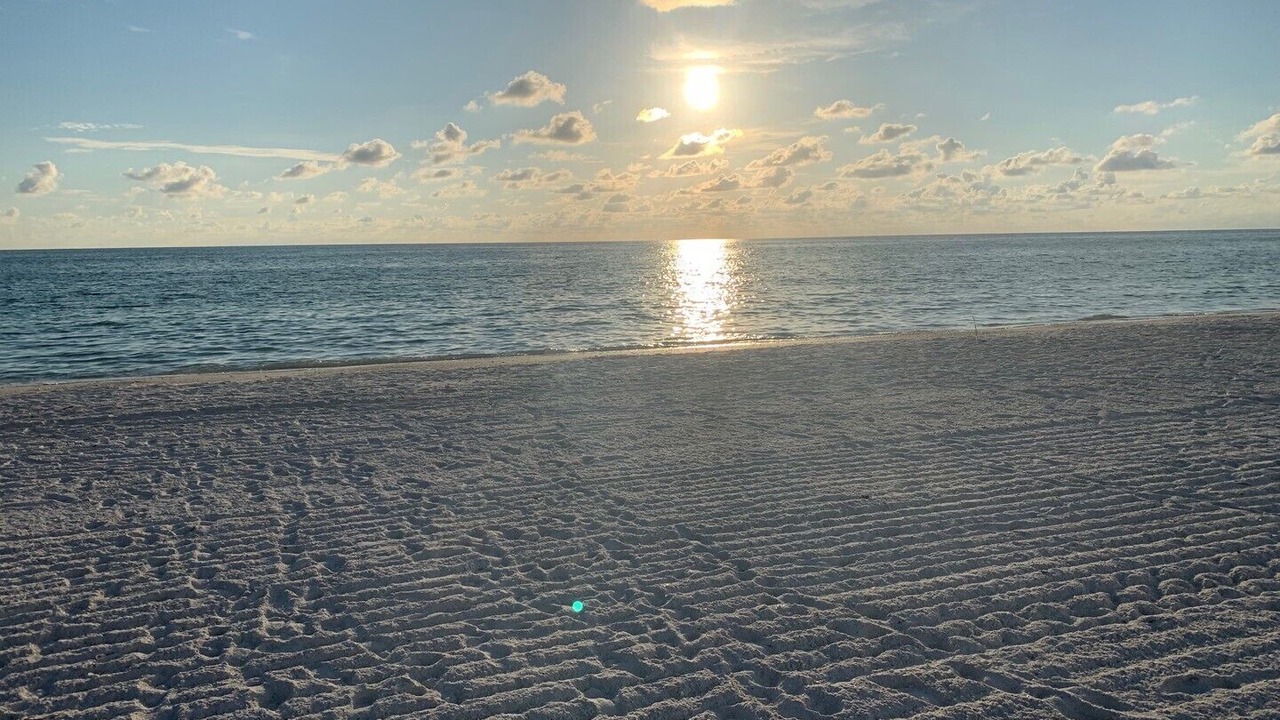 Photo of Others in Marco Island