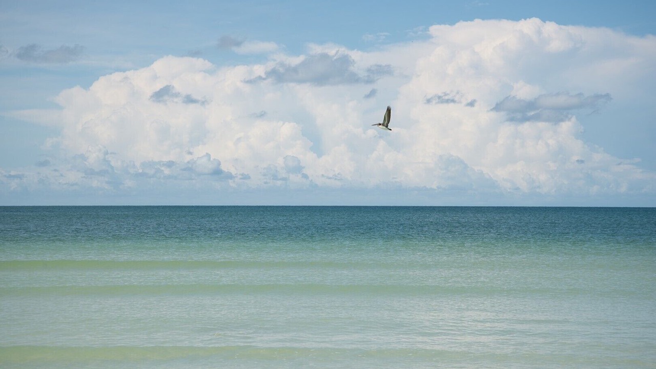 Photo of Others in Marco Island