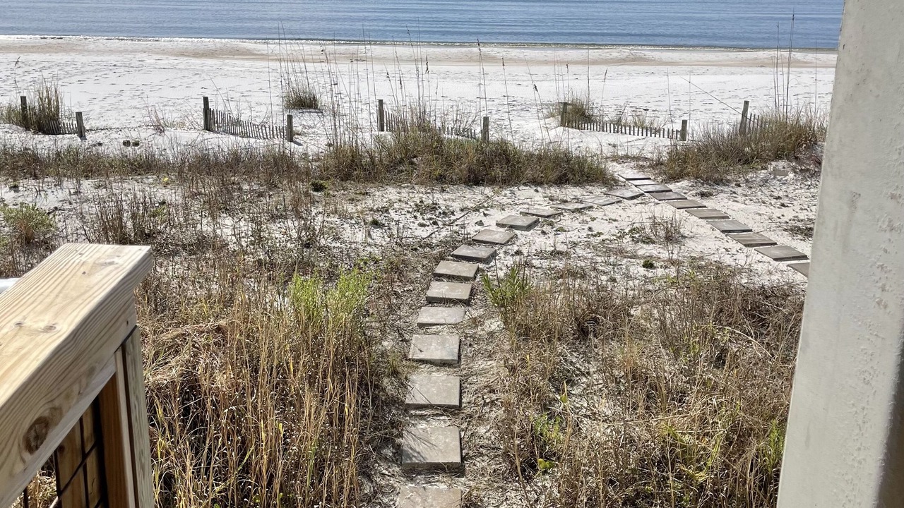 Photo of Others in Mexico Beach