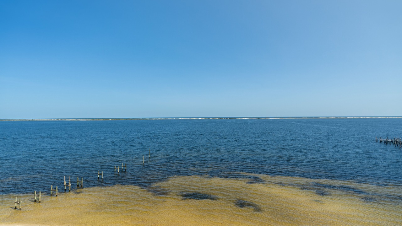 Photo of Others in Ono Island