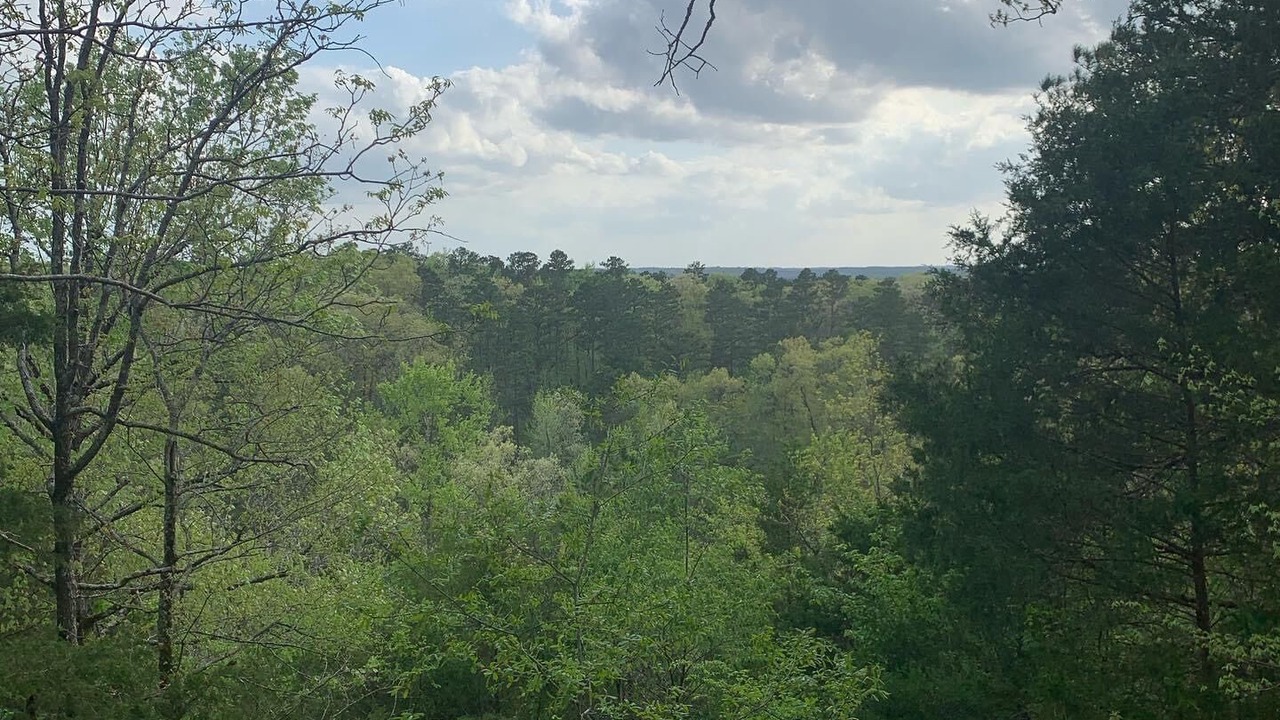 Photo of Outdoor in Hatfield