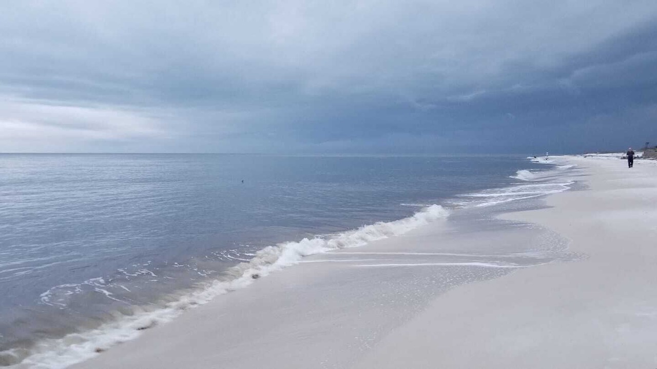 Photo of Others in Alligator Point