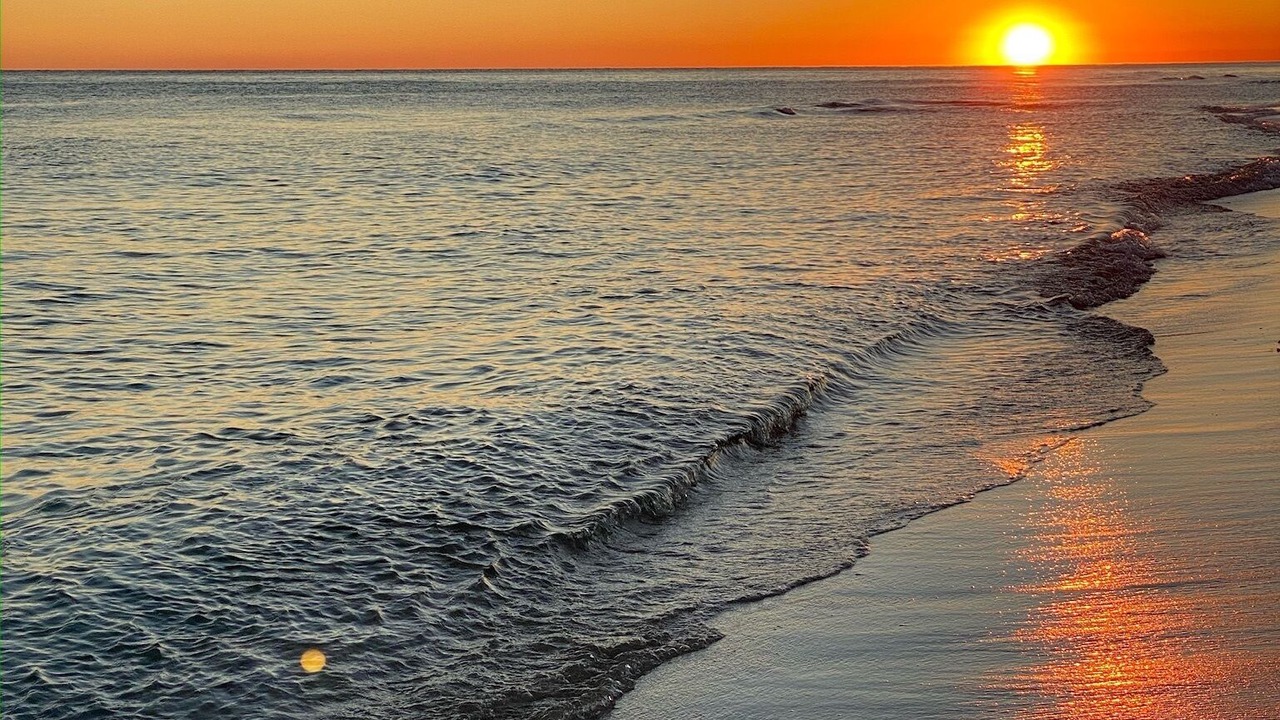 Photo of Others in Navarre