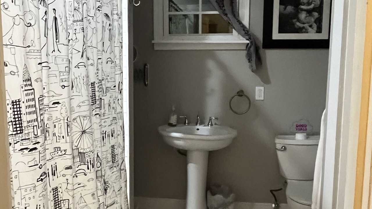 Photo of Bathroom in Algiers Point