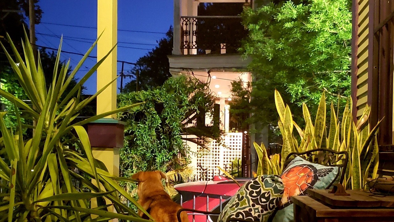 Photo of Outdoor in Faubourg Livaudais