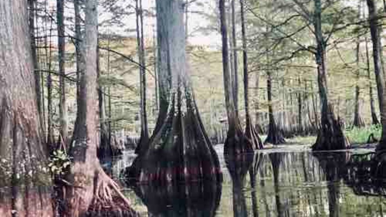 Photo of Others in Shreveport