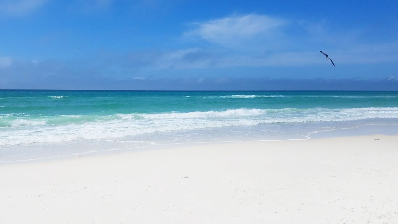 Photo of Others in Riviera Beach