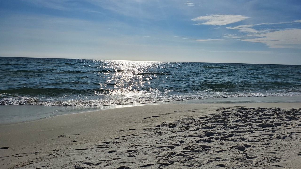 Photo of Others in El Centro Beach