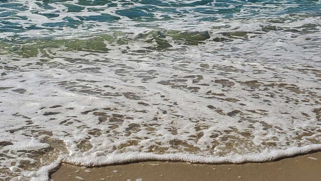 Photo of Others in El Centro Beach