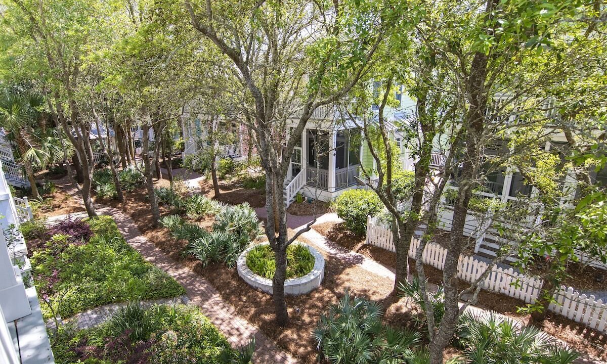 Photo of Outdoor in Sunnyside