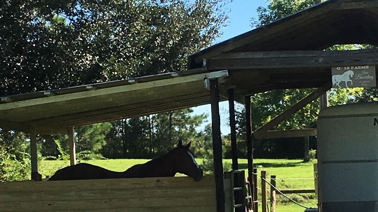 Photo of Outdoor in Baldwin County