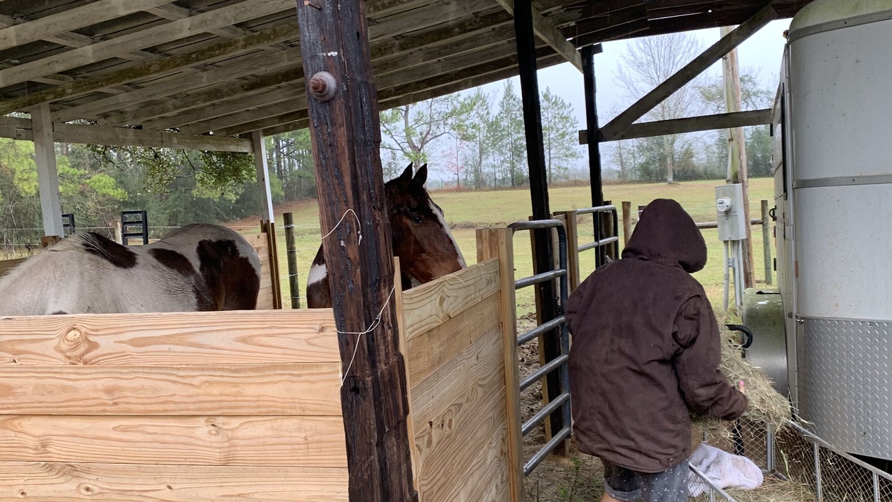 Photo of Outdoor in Baldwin County