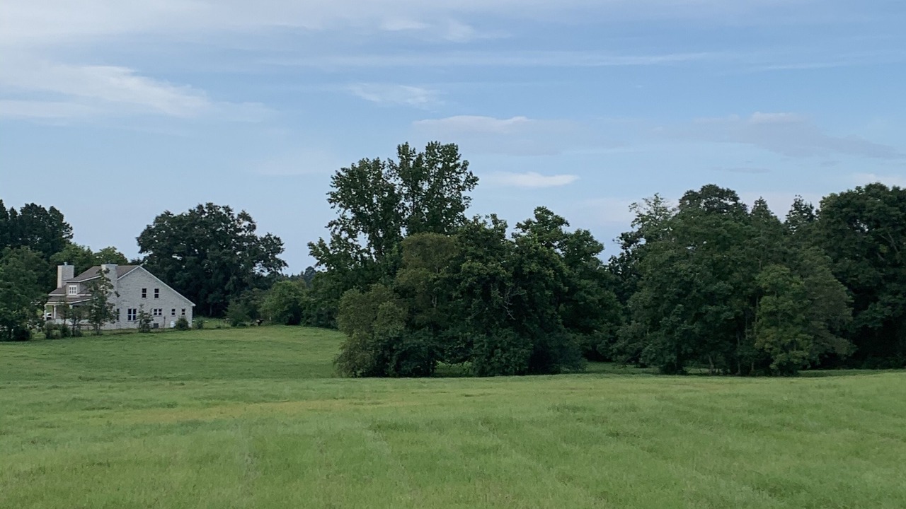 Photo of Others in Baldwin County