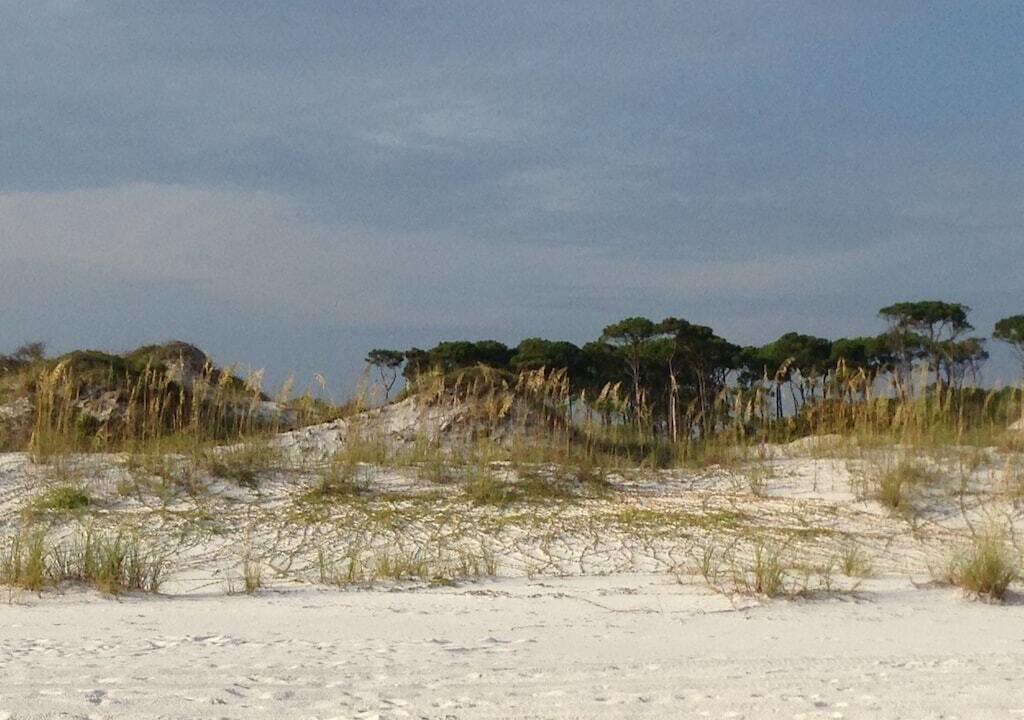 Photo of Others in Dune Allen Beach