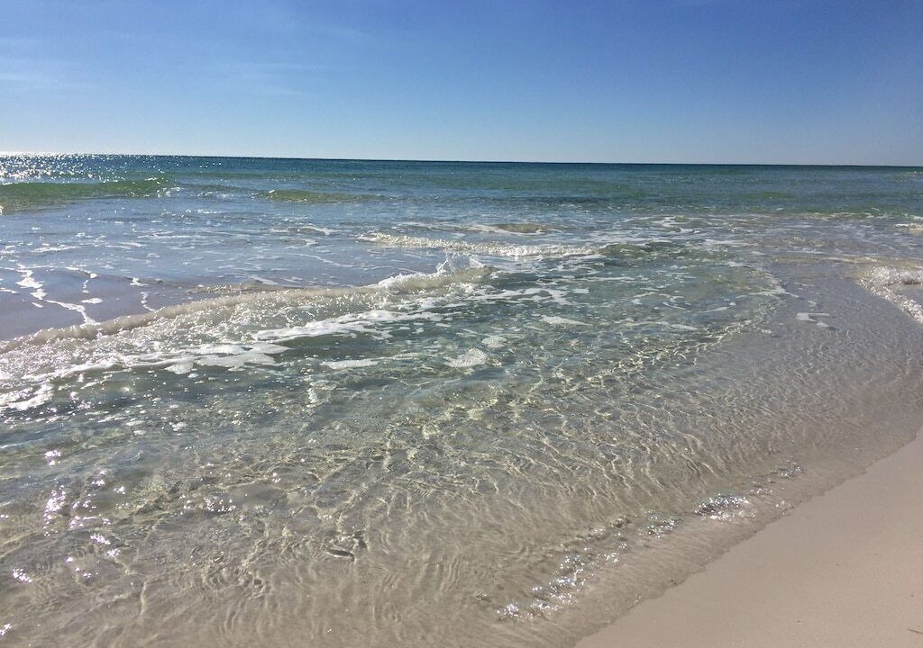 Photo of Others in Dune Allen Beach