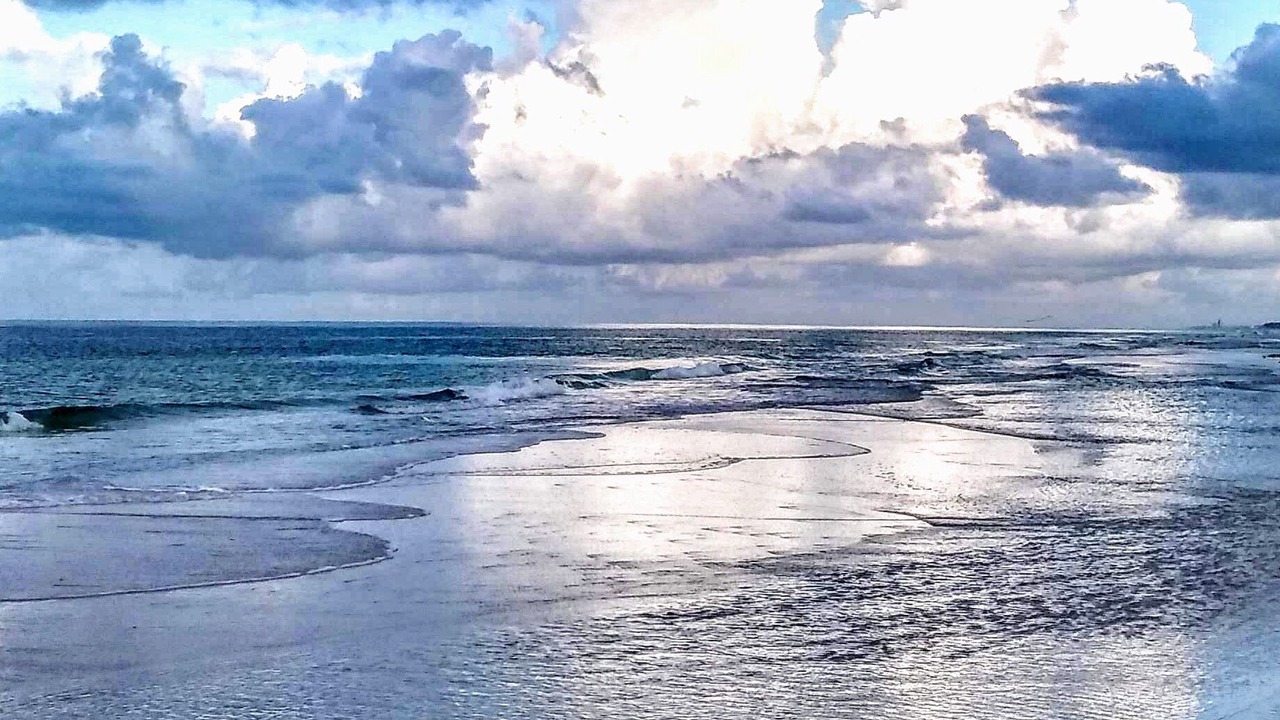 Photo of Others in Kiska Beach