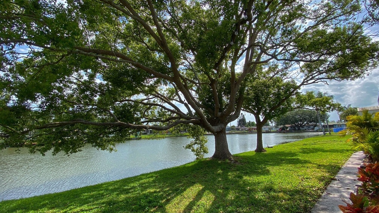 Photo of Others in Aloha Gardens