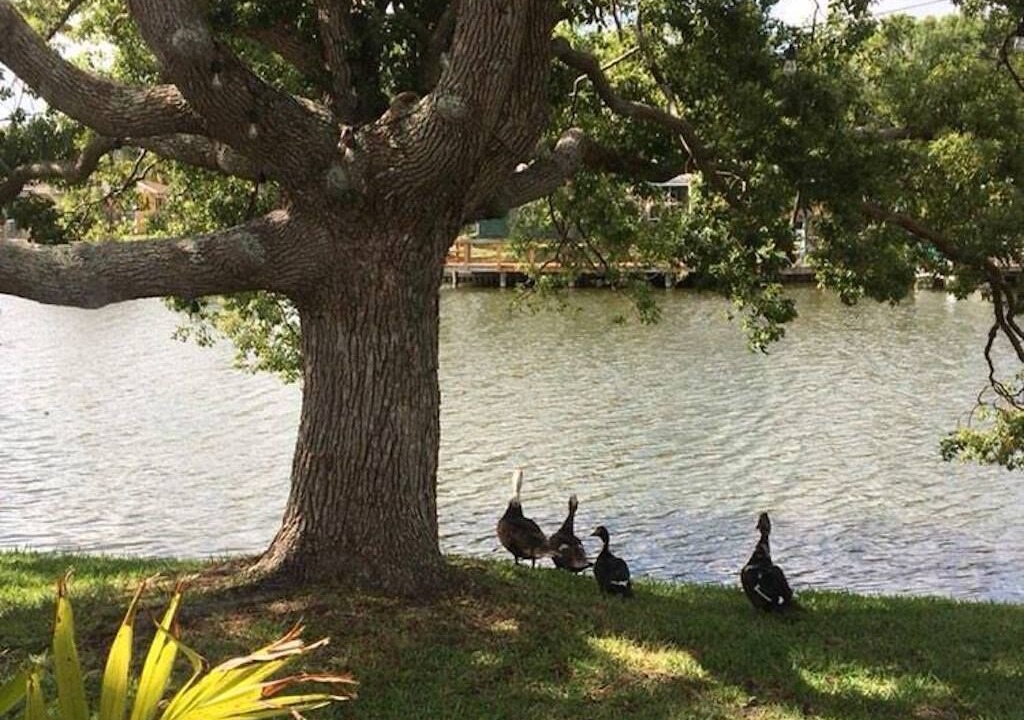 Photo of Others in Aloha Gardens