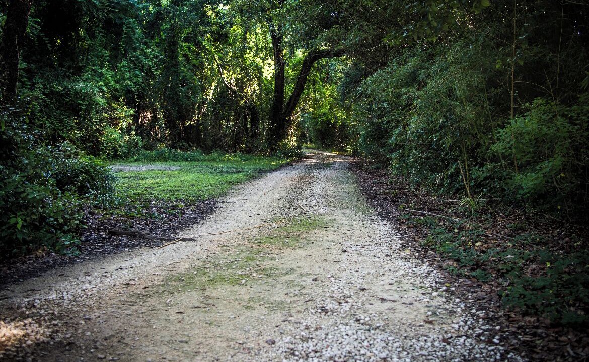 Photo of Outdoor in Fairhope