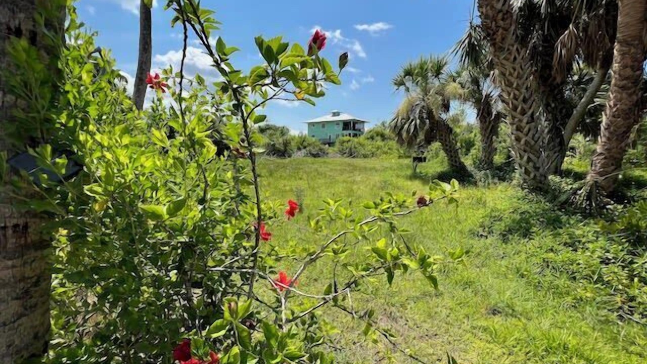 Photo of Outdoor in Placida