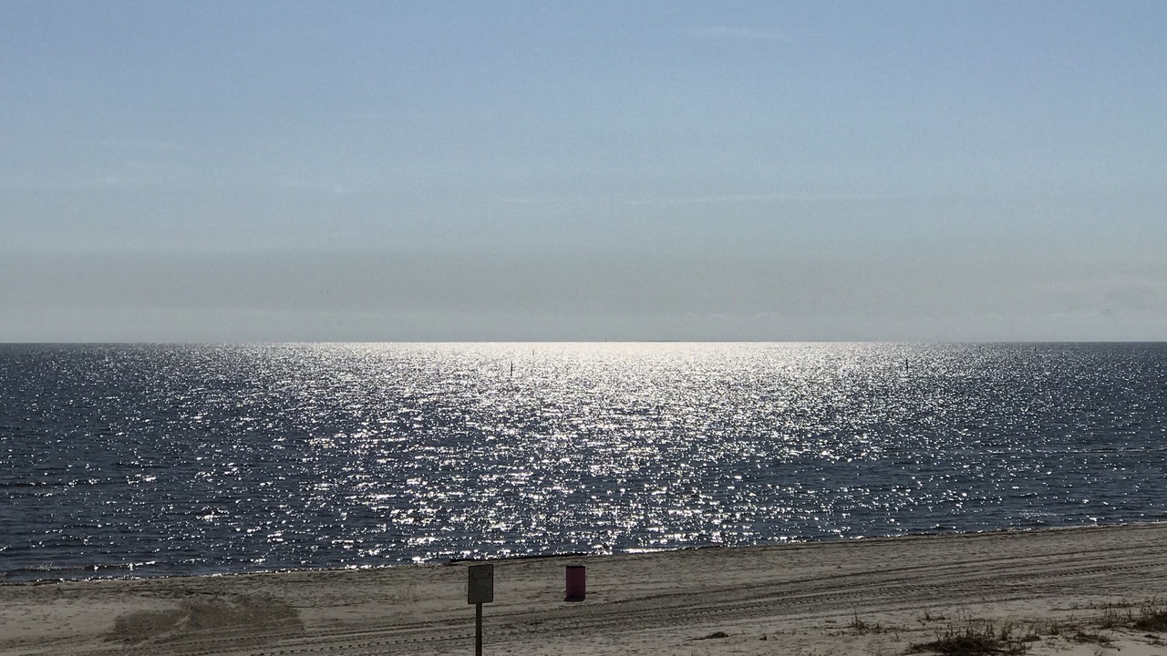 Photo of Others in Biloxi