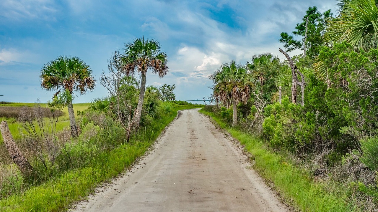Photo of Others in Wakulla Beach