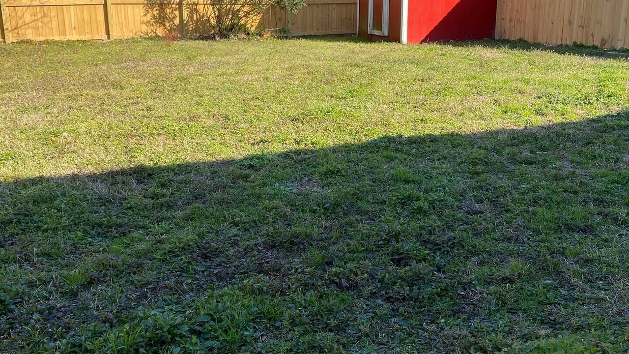 Photo of Outdoor in Ono Island