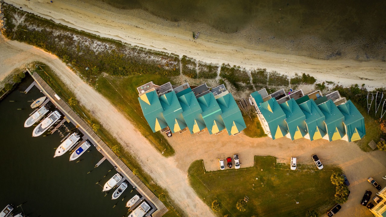 Photo of Outdoor in Alligator Point
