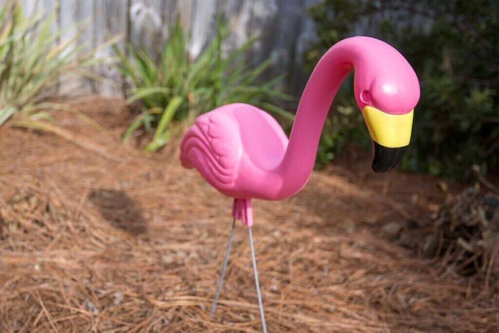 Photo of Others in Laguna Beach